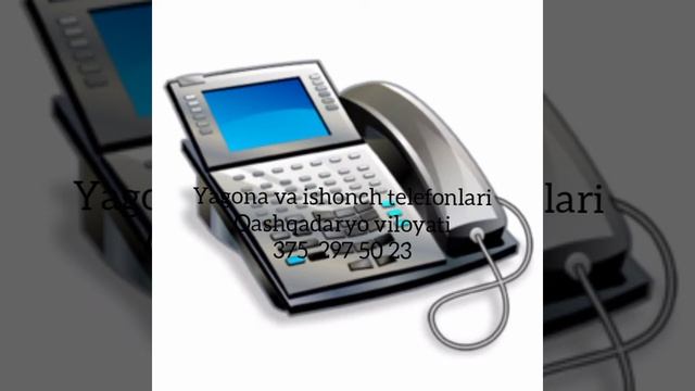 DAVLAT XIZMATLARI TELEFON KONTAKTLARI