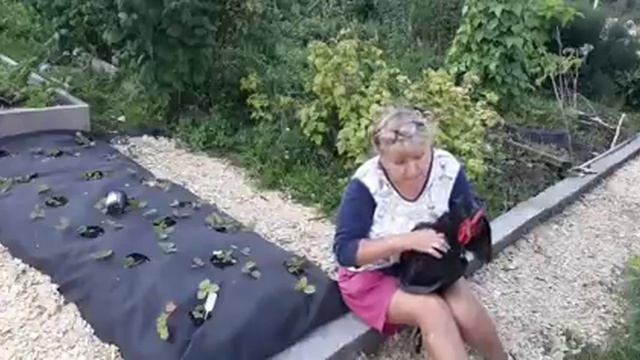 Что сделать, чтобы петух НЕ КУКАРЕКАЛ!!!???