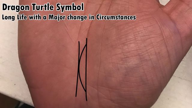 Dragon Turtle Symbol: Long Life In Chinese Palmistry