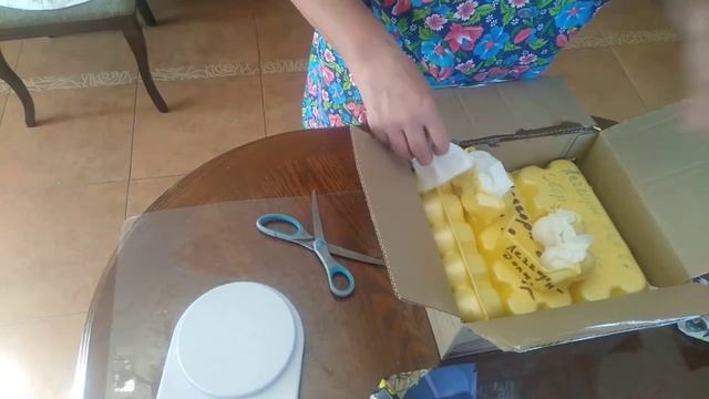 Инкубационное яйцо почтой. смотреть онлайн