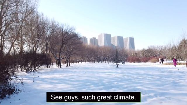 Going to my Chinese hometown | CHANGCHUN VLOG смотреть онлайн