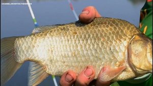 Как и где ловить Карася на БОКОВОЙ КИВОК весной | Обучающее видео.