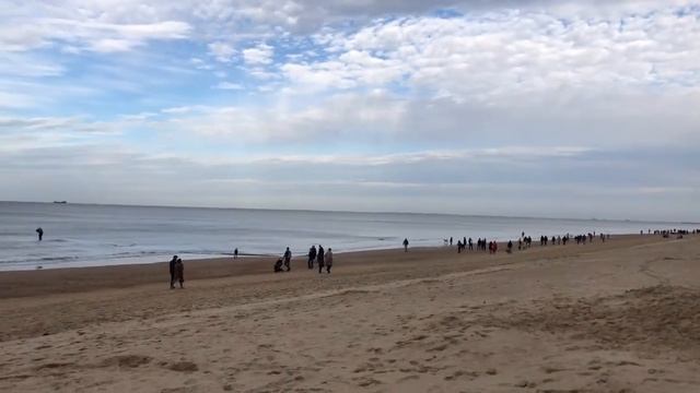 Short trip to Knokke смотреть онлайн