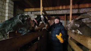 В гостях у отца Митрофана  #козхозяйство #мылоручнойработы