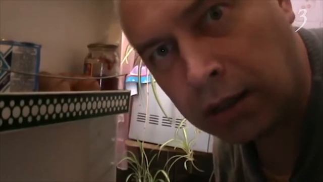 Колготки. Стрелка. Лак смотреть онлайн