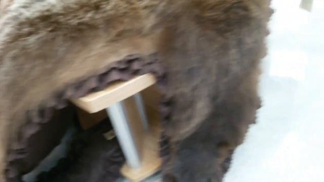 Унты в Якутске. Обзор и цены смотреть онлайн
