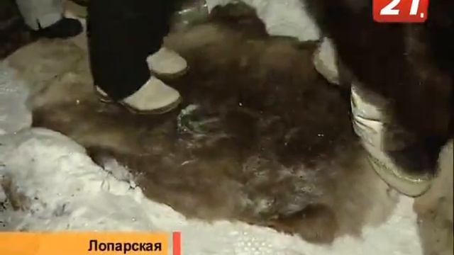 Лапландия_Ханами_2010.flv смотреть онлайн