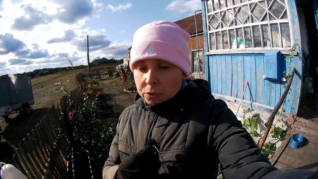 СО МКАДа В ОГОРОД // ВЕРНУЛИСЬ ИЗ СТОЛИЦЫ смотреть онлайн