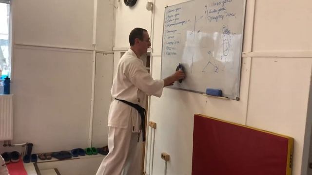 Семинар Шихана С.Н. Герасимова (5 дан). Тема: «Соревнования по ката» Eremenko’Dojo смотреть онлайн