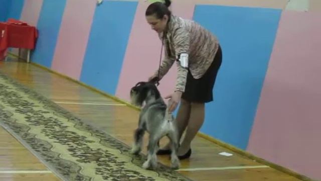 MVI 4023 смотреть онлайн