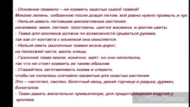 Чем и как правильно кормить кроликов. Для кролиководов. смотреть онлайн