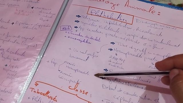 Résumé Plathelminthes : Biologie Animale دكشي لي كيتحط فالامتحان ?