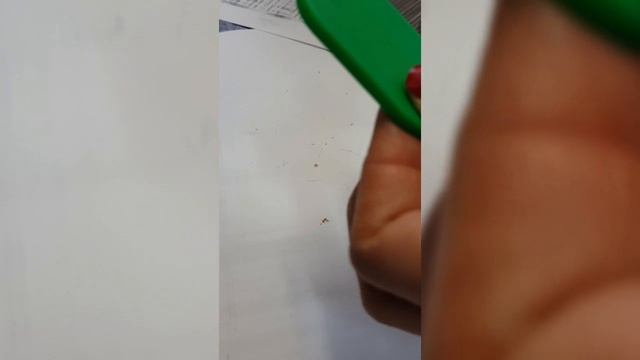 Вши пришли, просто чеши смотреть онлайн