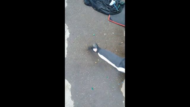 Установка пневмо гудка на ваз 2114 смотреть онлайн