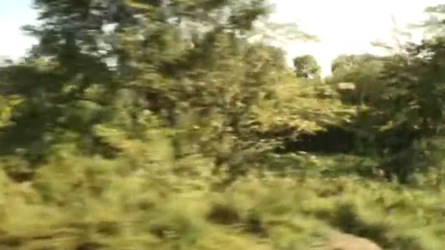 Угольная. Приморский край вид из окна поезда смотреть онлайн