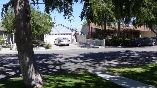 День независимости - страна гудит, а у нас новая камера Sony ZV-1 и это первый, снятый на нее сюжет