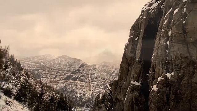 2021 | Dreamin’ Wild