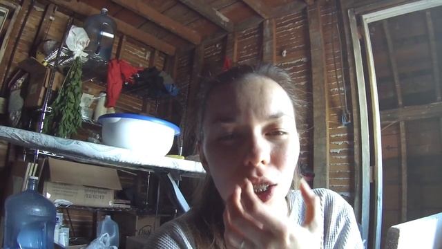 Жизнь в США: VLOG | Про БРЕКЕТЫ, РЕМОНТ продолжается! June 5-9, 2017 #TheLittlesFamily #Detroit смотреть онлайн