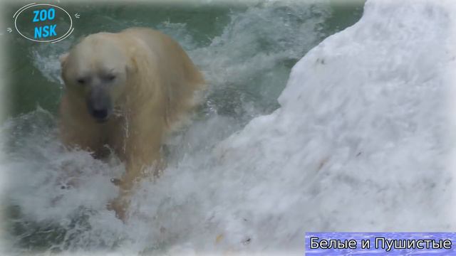 Радости предела нет! Кай наводит марафет! смотреть онлайн