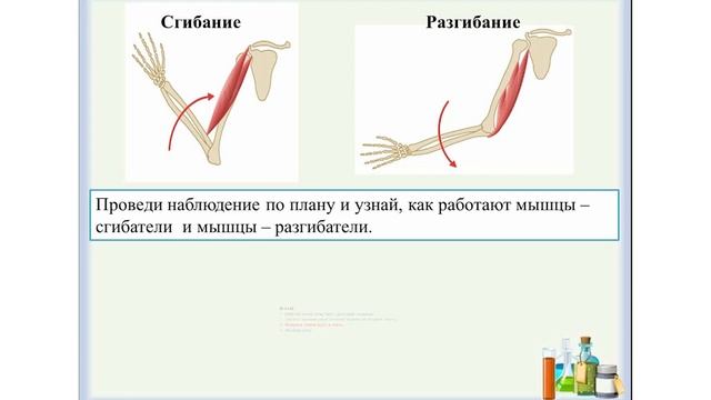 Естествознание, 2 класс, урок 2, Как мы улыбаемся смотреть онлайн