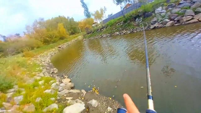 Лужа поколено, а щуки тут море!!! Рыбалка на спиннинг в микроречке. смотреть онлайн