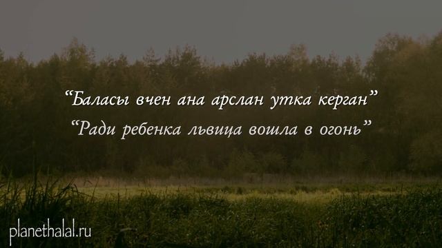 Татарские цитаты, которые лучше посмотреть в молодости и не жалеть в старости смотреть онлайн