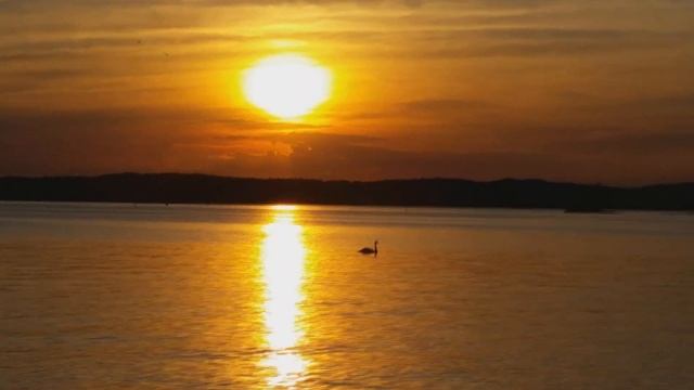 Твои волосы пахнут летом - Владислава Панфёрова смотреть онлайн