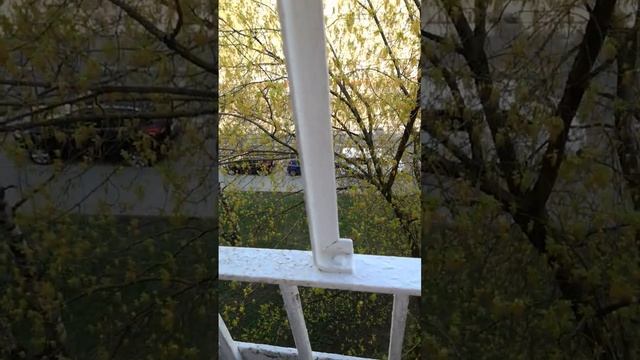 ....спрячь за высоким забором девченку,выкраду вместе с забором.... смотреть онлайн