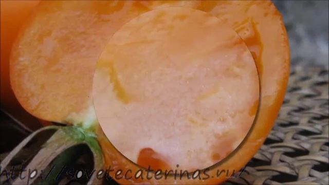 Садово - огородные хитрости смотреть онлайн