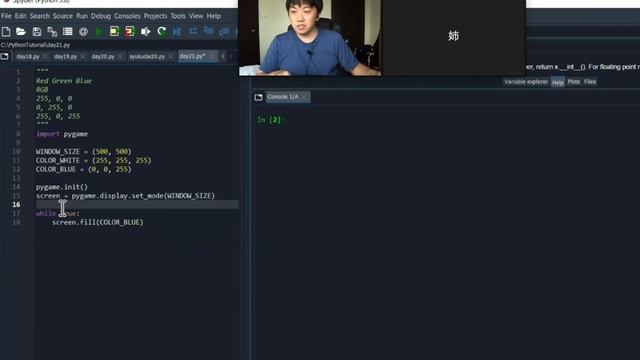 pipでライブラリをインストールしよう！ + おまけpygameで初めてのアニメーション | 姉と学ぶ、初めてのプログラミング入門 with Python #21 смотреть онлайн