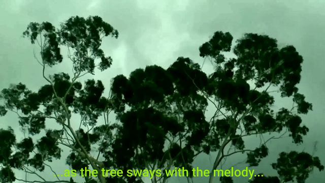 Flute Solo🇮 Bipul Chettri смотреть онлайн