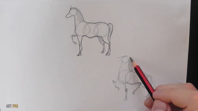 How to draw HORSES step by step ? [METHOD] смотреть онлайн