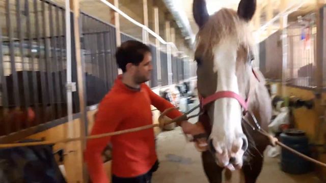 Коноблог: Два сердца - одна душа Https://vk.com/two_hearts_one_soul