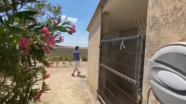 Province lavender festival short tour in France 法国普罗旺斯薰衣草节 смотреть онлайн