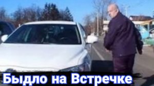 Наказание автохамов на встречке №4