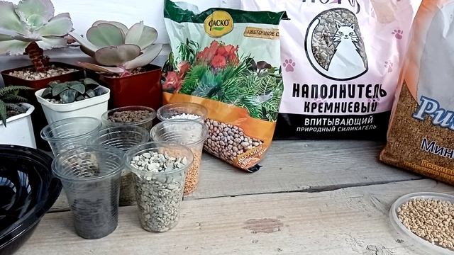 ?Грунт для суккулентов?. Мой рецепт ?? смотреть онлайн