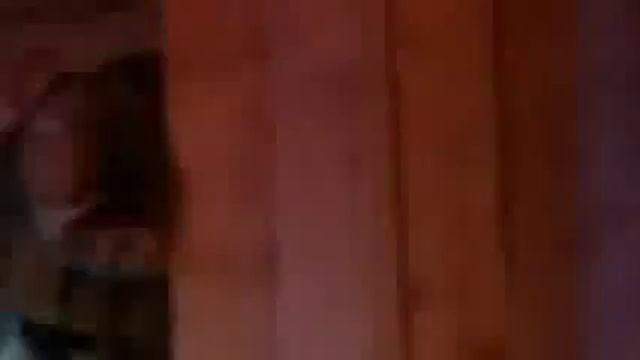 Тигр в Тбилиси убил человека! Тигр альбинос загрыз насмерть!Новости о главном! смотреть онлайн