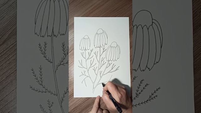 Как нарисовать цветы линером. смотреть онлайн