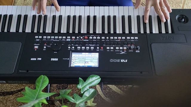 Korg pa 300 Жан Мишель В полёте раздумий /отрывок/ смотреть онлайн