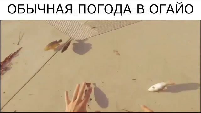 ОБЫЧНЫЙ ДЕНЬ В ОГАЙО смотреть онлайн