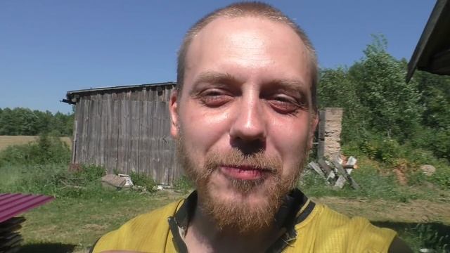 укусила оса в ухо. смотреть онлайн