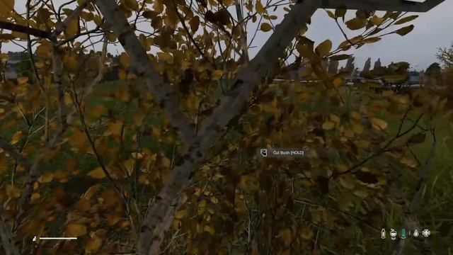 Dayz S4 E8 смотреть онлайн