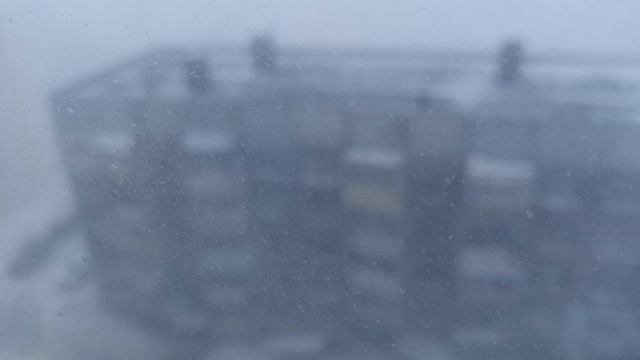 Сидеть дома. смотреть онлайн