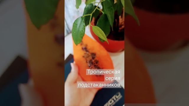 Тропические подстаканники и сервировочные тарелочки из эпоксидной смолы #подпишись #эпоксиднаясмола смотреть онлайн
