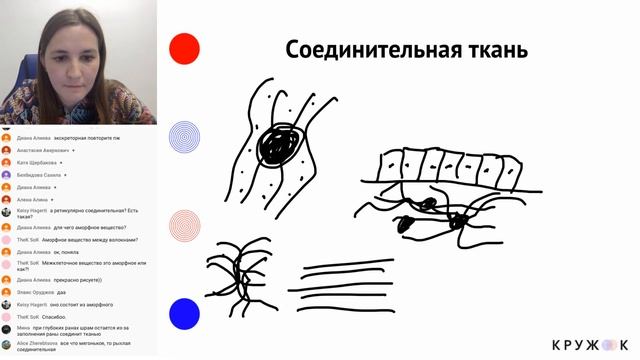 Ткани. Эпителиальная и соединительная ткани: строение, основные виды и функции | Кружок смотреть онлайн