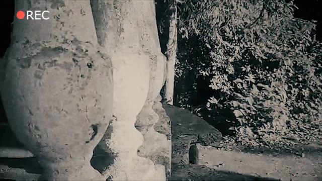 Никишов. Освоение смотреть онлайн