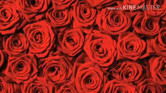 1 000 000 алых роз/егор крид/МЕМЕ смотреть онлайн
