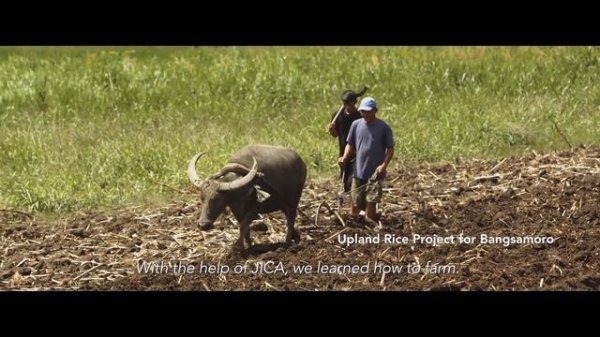 Investing in Possibility：International Peace Cooperation in Mindanao, The Philippines (dubbed ver.)