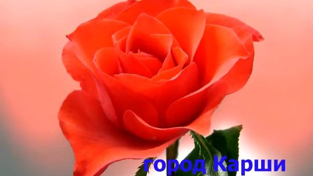 Фарход город Карши посёлок Ханабад смотреть онлайн