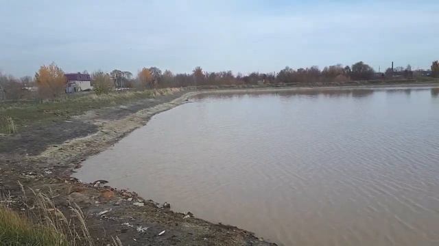 Очистные озера (иловые поля) на промзоне у поселка Отары в Казани смотреть онлайн